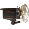 Photogenic PL1250DRC 500W/s PowerLight Monolight (UV)