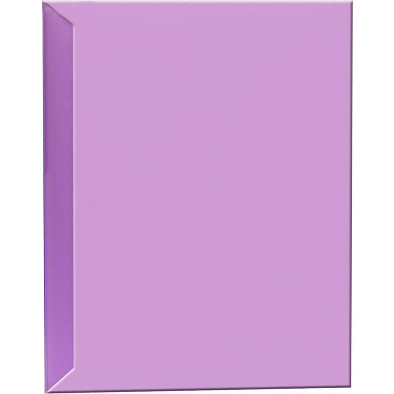 Pioneer Photo Albums CF-2 Space Saver Poly Album (Purple)