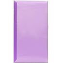 Pioneer Photo Albums CF-3 Space Saver Poly Album (Purple)