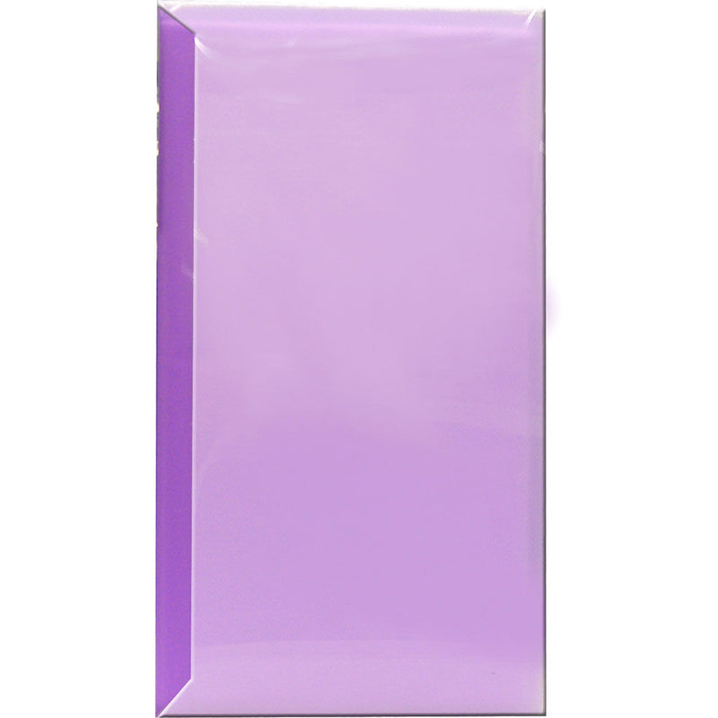 Pioneer Photo Albums CF-3 Space Saver Poly Album (Purple)