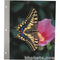 Pioneer Photo Albums Refill for Framed Album #WF-5781 (Pack of 5 White Refills)
