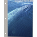 Pioneer Photo Albums Refill Pages for the Pioneer TR-100 and TR-40 Photo Albums (Pack of 4)