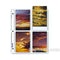Print File 35-8P Archival Storage Page for 8 Prints (3.5 x 5", 25-Pack)