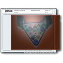 Print File Negative Pocket (5 x 7", 100 Pack)