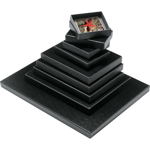 Print File FB1319 Film & Print Box (13 x 19", 1.1" Deep)