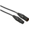 Pro Co Sound AmeriQuad 3-Pin XLR Male to 3-Pin XLR Female Lo-Z Microphone Cable - 3'