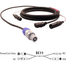 Pro Co Sound EC11 Siamese Twin AC (Powercon Grey to IEC) & Audio (XLR Female to XLR Male) Combo Cable- 100'