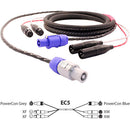Pro Co Sound EC5 Siamese Twin AC (Powercon Grey to Powercon Blue) & Audio (2x XLR Female to 2x XLR Male) Combo Cable- 100'