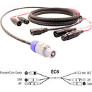Pro Co Sound EC8 Siamese Twin AC (Powercon Grey to IEC) & Audio (XLR Male + XLR Female to XLR Female + XLR Male) Combo Cable- 100'