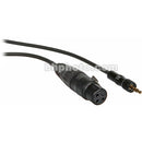 Remote Audio CASENSK100XM48 3.5mm Threaded Male to XLR Female Adapter Cable
