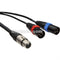 Remote Audio 5-Pin Stereo XLR Female to Dual XLR Male Y-Cable - 25'