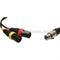 Remote Audio 5-Pin Stereo XLR Female to Dual XLR Male Y-Cable - 18"