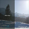 Rosco VIEW Camera Filter (4 x 4")