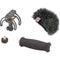 Rycote Portable Recorder Audio Kit for Tascam DR-100 & DR-100mkII