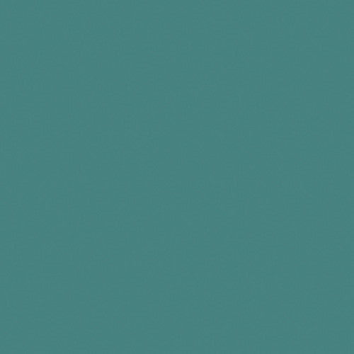 Savage Widetone Seamless Background Paper (