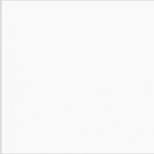 Savage Widetone Seamless Background Paper (