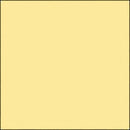 Savage Widetone Seamless Background Paper (