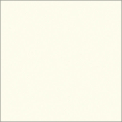 Savage Widetone Seamless Background Paper (