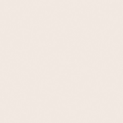 Savage Widetone Seamless Background Paper (
