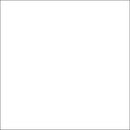 Savage Accent Solid Muslin Background (10 x 12', White)