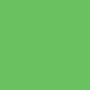 Savage Accent Solid Muslin Background (10 x 12', Chroma Green)