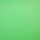 Savage Infinity Vinyl Background - 8 x 10' (Chroma Green)