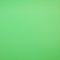 Savage Infinity Vinyl Background - 9 x 20' (Chroma Green)