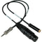 Sescom 1' iPhone / iPod / iPad TRRS to XLR Mic & 3.5mm Monitoring Jack Cable