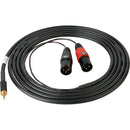 Sescom SES-IPOD-XLRM10 3.5mm Stereo to Dual XLR Male Mono Audio Cable (10')