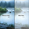 Tiffen 4 x 4" Double Fog 5 Filter