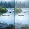 Tiffen 4 x 5.65" Double Fog 1 Filter