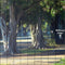 Tiffen 6 x 6" 1 Low Contrast Filter