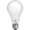 Ushio BBA Incandescent Photoflood Lamp (250W / 115-120V)