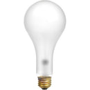 Ushio EBV Photoflood Lamp (500W/120V, Frosted)