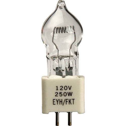 Ushio EYH/FKT Lamp (250W/120V)