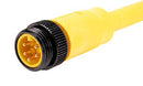 Amphenol SINE/TUCHEL MN57AC01M020 Sensor Cord 5P 7/8" PLUG-FREE END 6.6