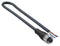 Brad 120065-2252 Sensor Cable M12 Straight 4 Position Receptacle Free End 2 m 6.6 ft 120065 Series