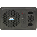 Anchor Audio AN-1000XU2+ Speaker Monitor with Dual-Channel Wireless Receiver (Black)