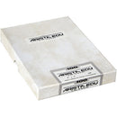 Arista EDU Ultra 100 Black and White Negative Film (4 x 5", 25 Sheets)