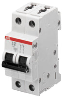 ABB S202M-C6 6A DP Type C MCB