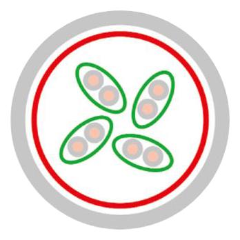 Multicomp PRO MP001953 Ethernet Cable S/FTP (PiMF) Cat6 1 m 3.28 ft RJ45 Plug to Red