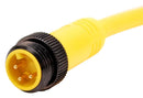 Amphenol SINE/TUCHEL MN37A4AC01M020 Sensor Cord 3P 7/8" PLUG-RCPT 6.6