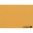 BBS Lighting Interchangeable 3200K Phosphor Panel for Area 48 LED Light