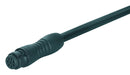 Binder 79-9238-020-03 Circular Cable Assembly 3 Position Receptacle Free End 6.6 ft 2 m 620 Series