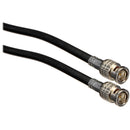 Belden 1694A Digital Video BNC Cable (100 ft, Black)