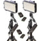 Bescor XT160 Bi-Color LED On-Camera 2-Light Kit with Stands and Batteries