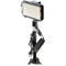 Bescor XT160 Bi-Color LED On-Camera 1-Light Kit with Stand