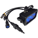 Blizzard Motif Sketch IP65 Outdoor Tri-Color LED Wash Fixture (Black)