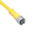 Brad 120027-0070 Sensor Cable Nano-Change M8 Straight 3 Position Receptacle Free End 10 m 32.8 ft