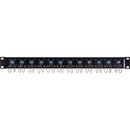 Camplex 12-Port LC Duplex Singlemode Feed-Thru Panel